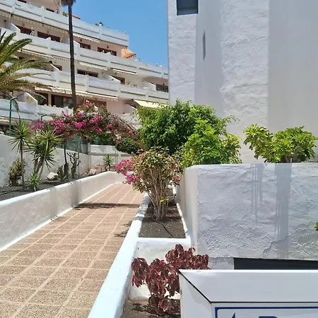 Appartamento In Adeje Near